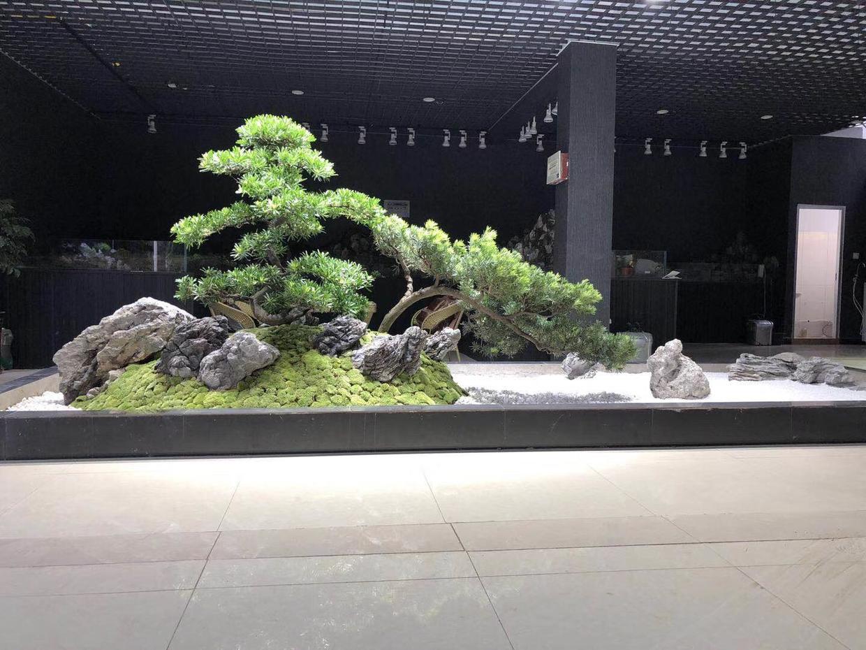 長沙枯山水室內外景觀製作案例賞析植來植趣