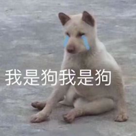 19062d4cc141425aaa34843d43068a35.jpeg