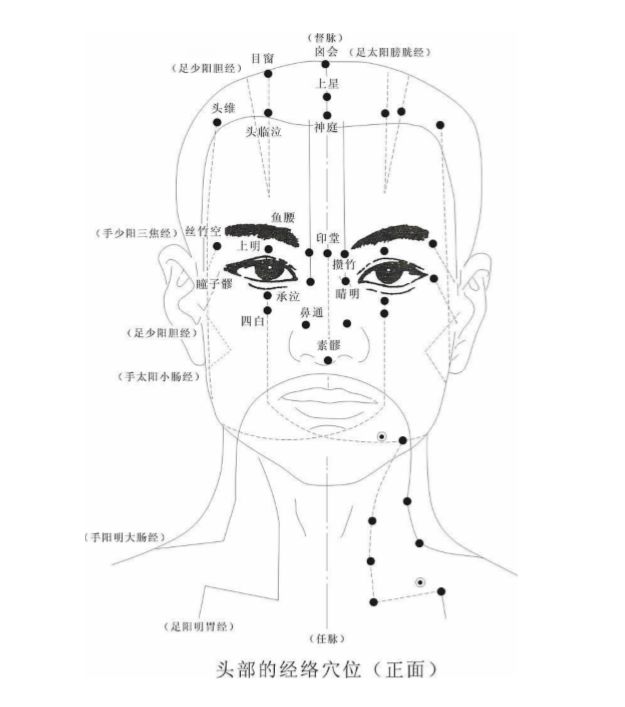 面部拨筋经络图走向图图片