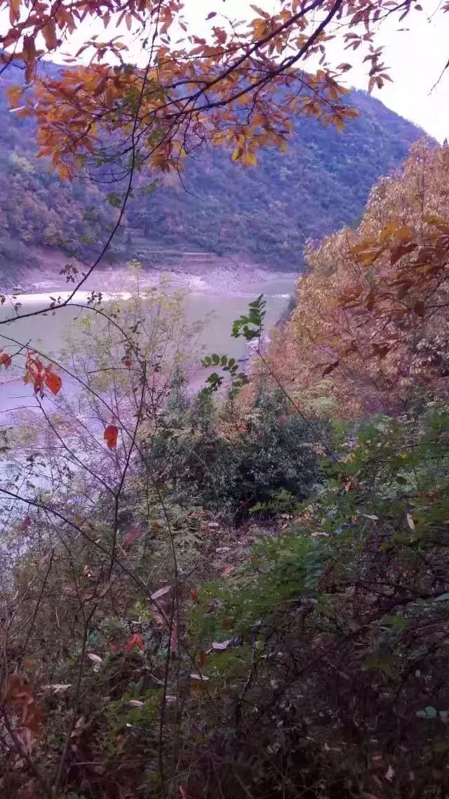 【鹮乡原创】重走纤夫道,再游黄金峡_洋县
