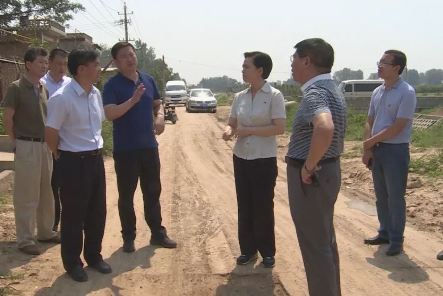 副市长陈淑欣莅孟调研中州渠综合治理情况