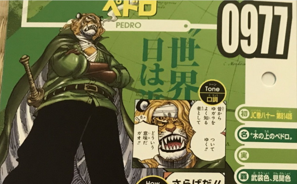 海贼王:官方公布佩德罗生命卡,赏金3亿8200万,目前还活着!_罗杰