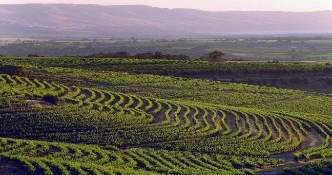 孤独星球发布2019亚太十佳旅行地,西澳玛格丽特河位列榜首