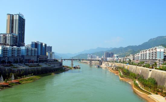 沿河中寨镇白叶一号芳华绽放