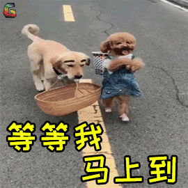 270_270gif 动态图 动图