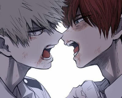 我的英雄学院,轰焦冻和爆豪,在一起你们可愿意?