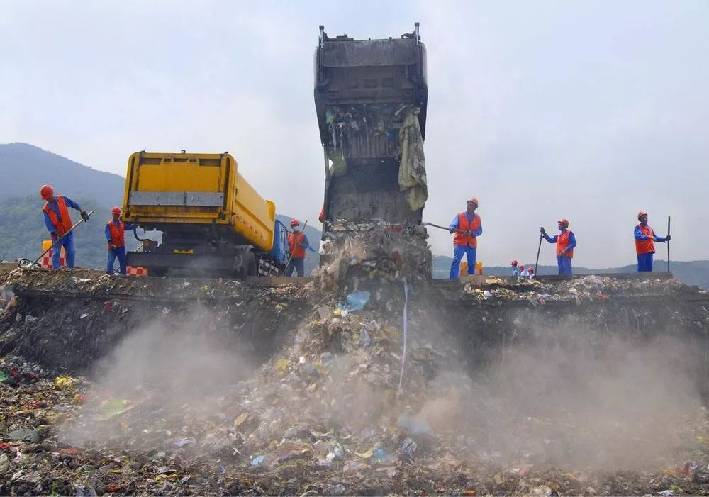 而那些没有流入填埋场的垃圾,很多都会被其他自然生物给误食误吞到了