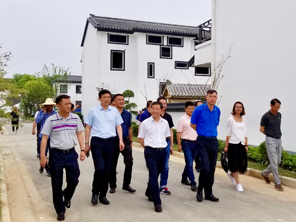 7月4日,闵行区副区长吴志宏对革新村迎接市级乡村振兴示范村验收准备