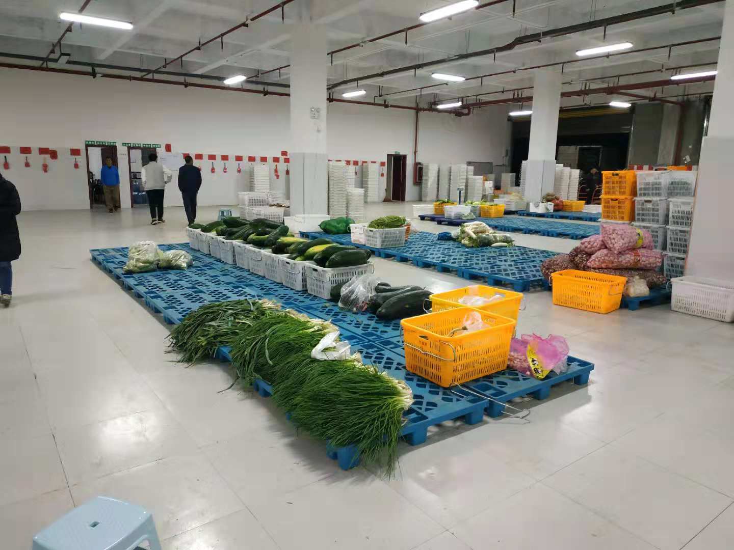 蔬东坡盘点:如何做好生鲜仓库管理!(附图 视频)