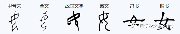 说文解字：女，妇，婆，妻，姨，姑，母，娘！_本义