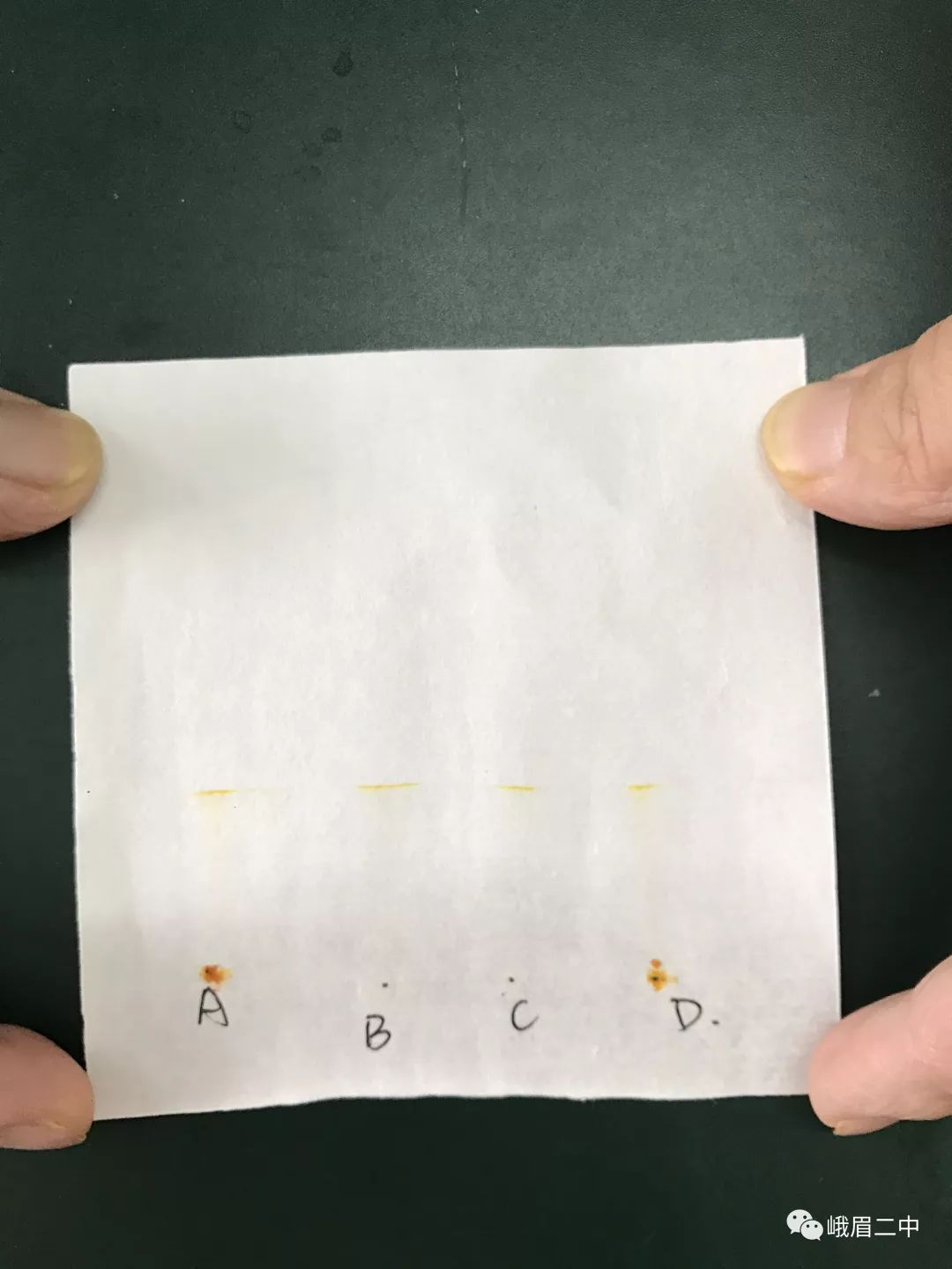 峨眉二中科技节系列活动之β-胡萝卜素提取与鉴定_滤纸