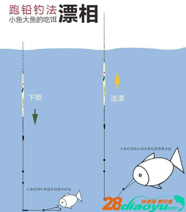 新手钓鱼如何避免空军?学会跑铅钓法,可以让你提高鱼获告别空军