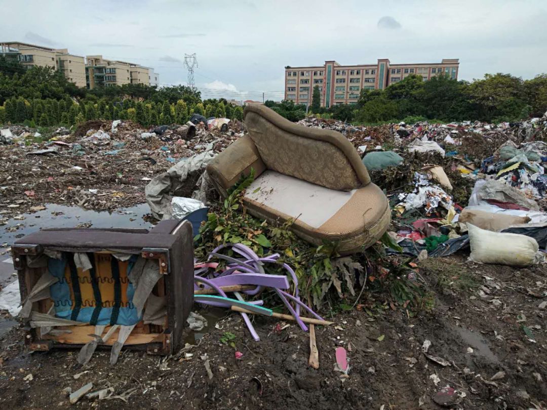 网友反馈中山这个垃圾中转站臭味扰民人大代表实地排查发现