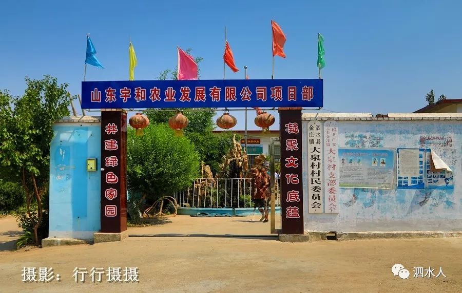 纪实随拍走进泗水古村落金庄大泉村请问这些都是谁家的房子