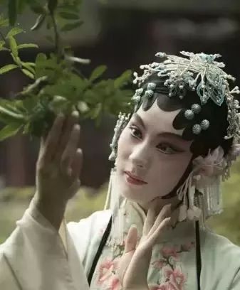 早鸟9折因为白先勇青春版牡丹亭我爱上了昆曲