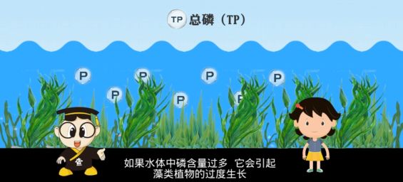 它会引起藻类植物的过度生长,造成水体的富营养化