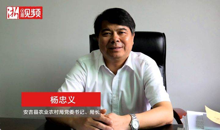 局长杨忠义网友们大家好,我是安吉县农业农村局局长杨忠义,下面我向