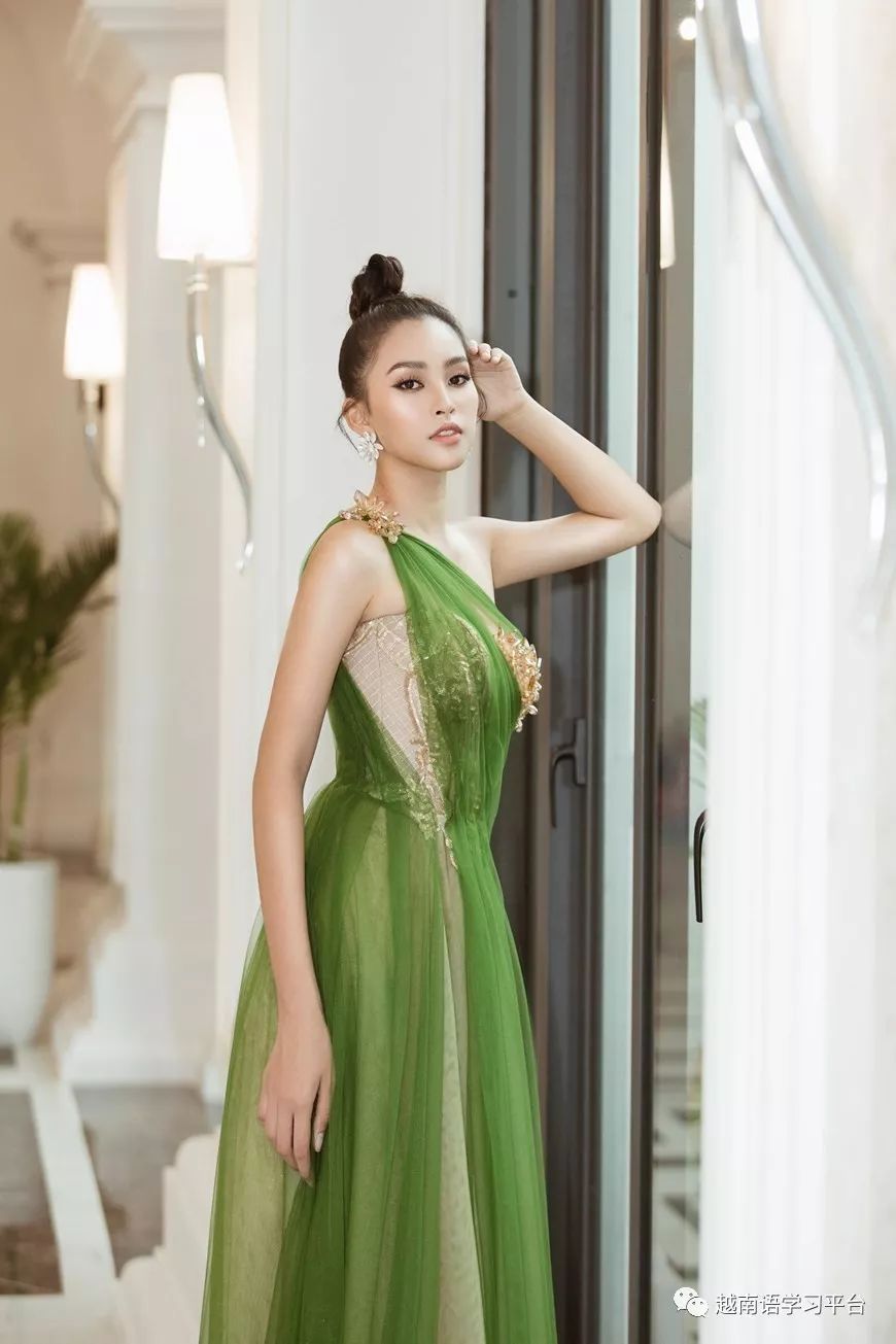 越南小姐陈小微成为2019年广平洞穴节形象大使图文