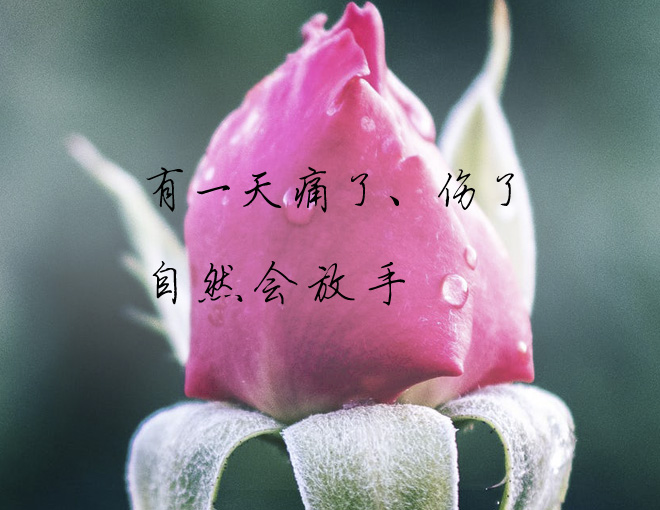 若你安好,忘了曾经,我也不会怪你,过去总该有一个人抹去,才能再次收获