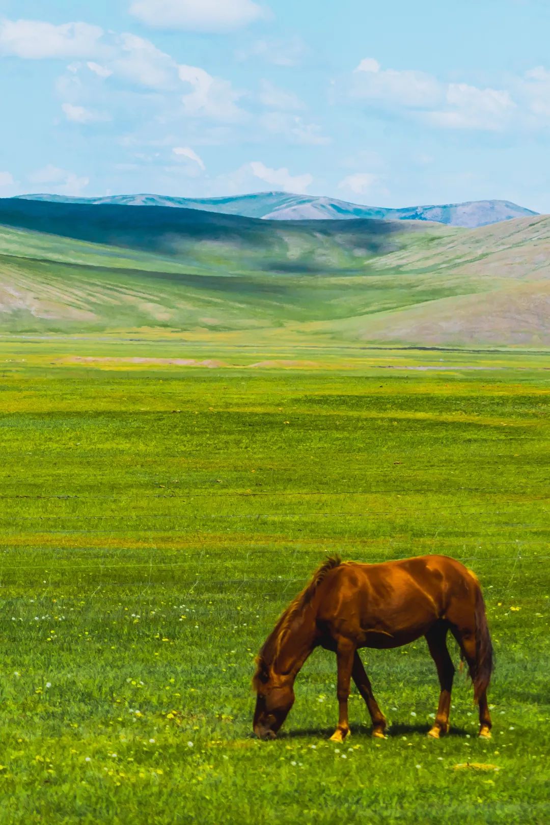 1080_1620竖版 竖屏