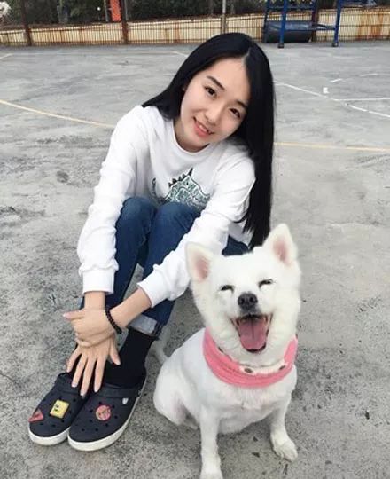 因为一句约定,狗狗三度病危都强撑过来,连医生也惊叹奇迹!_周瑞琪