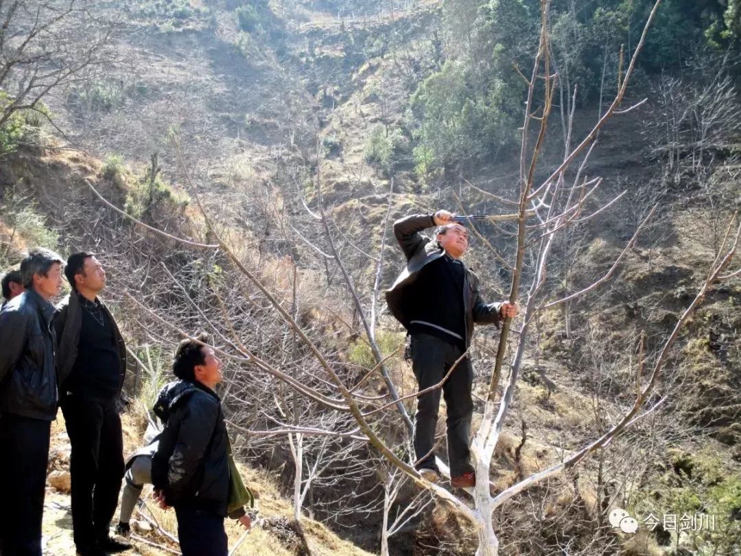 剑川象图产业发展助推贫困山乡破茧蝶变