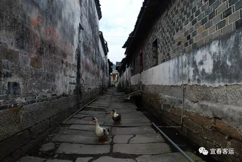 宜春全域旅游景点直通车今日开通附路线