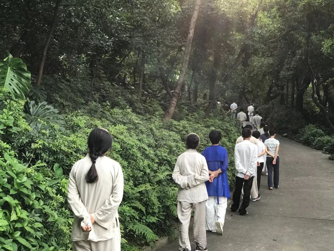 我的修禅感悟心得_生命