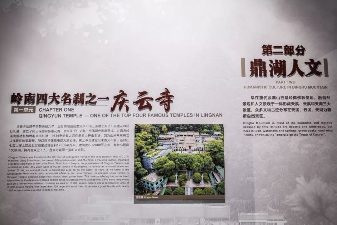 肇庆这个最近超火爆的博物馆你来打卡了吗