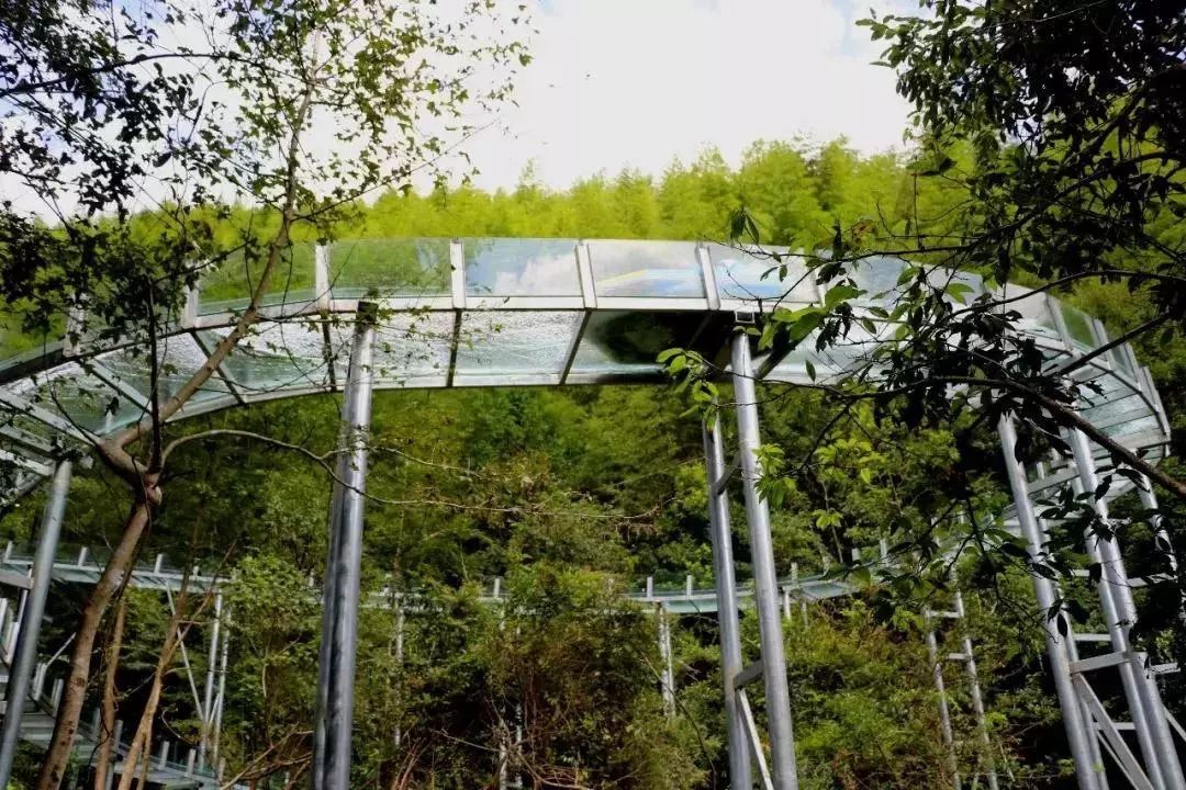 "时空交错·激爽夏日"黄岩大瀑布,玻璃滑漂,艺术乡村-版画村一日游发