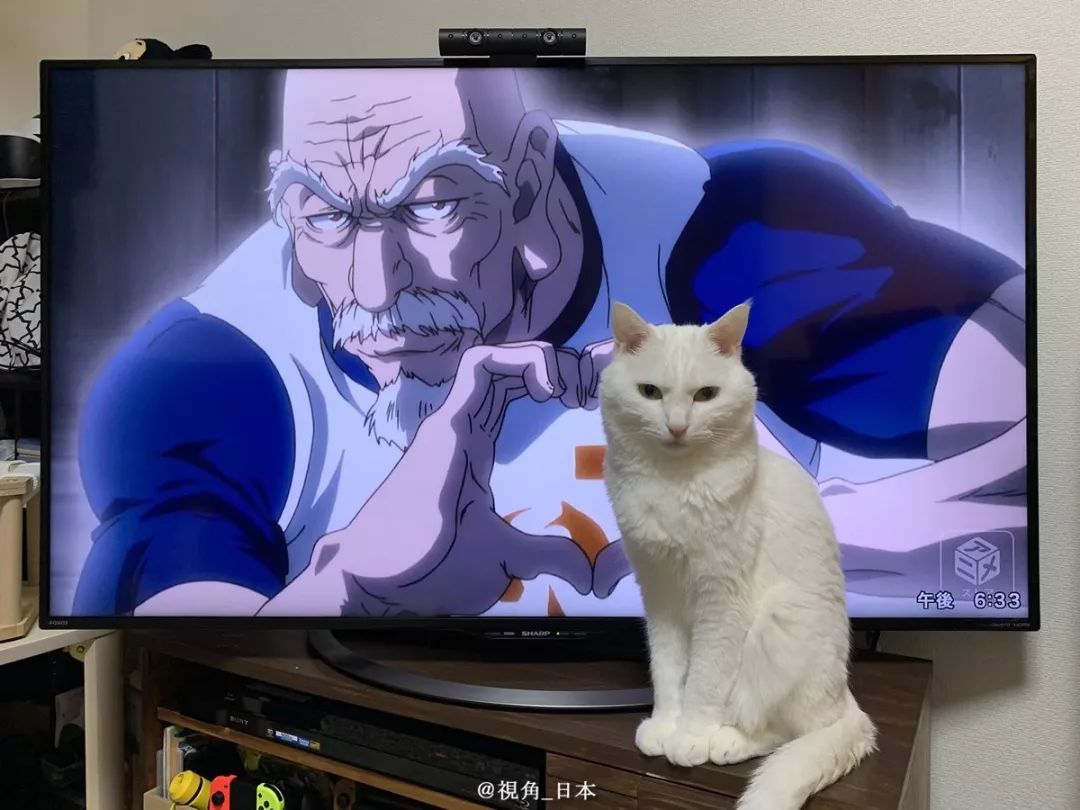 猫「看我!」尼特罗「感谢一切!