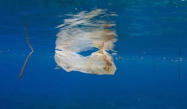 这些照片拍的真垃圾你看看是不是很垃圾