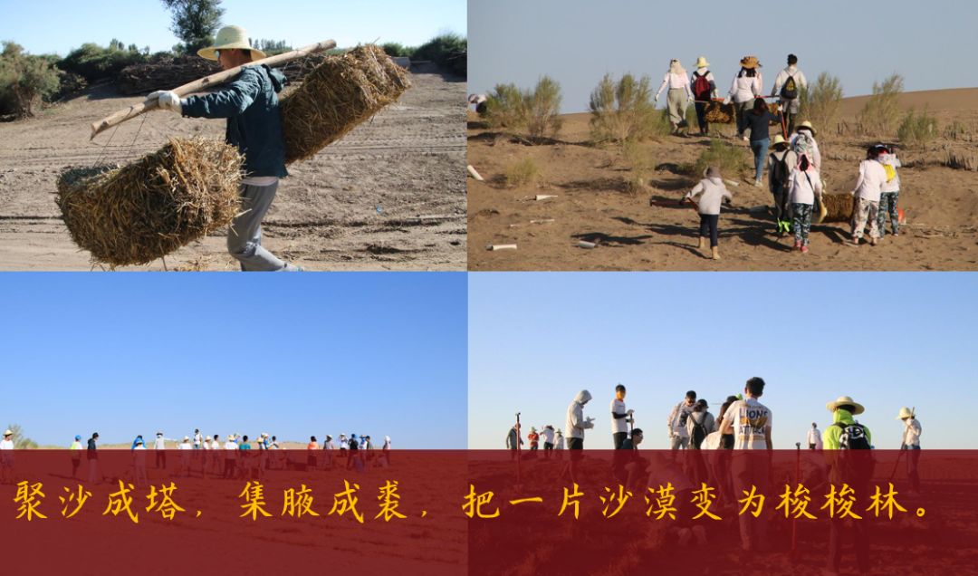 以青春之名上海交通大学2019届本科生毕业演讲刘智卓扎根大地不辍前行