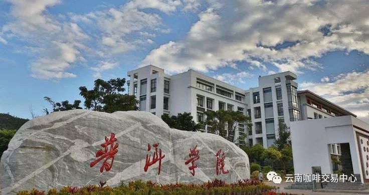 校企合作普洱学院里出品的咖啡师