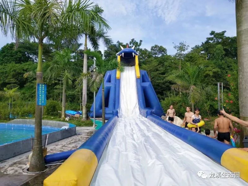 周末浪起来肇庆这些游泳圣地逐个打卡上