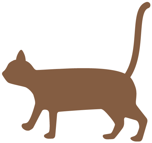 汉字解读 每日一字 夕 今夕何夕 意思