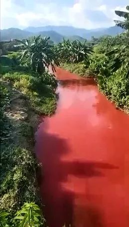 红色的河水蔓延了几公里