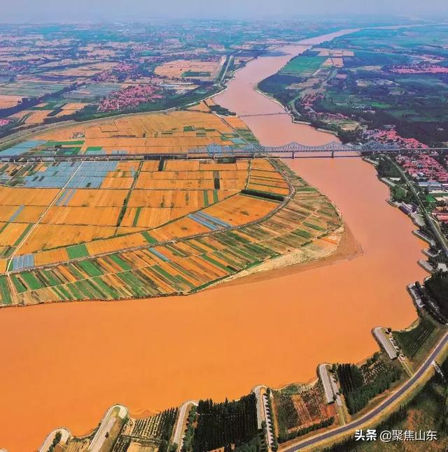 利津黄河尾闾飞起金凤凰
