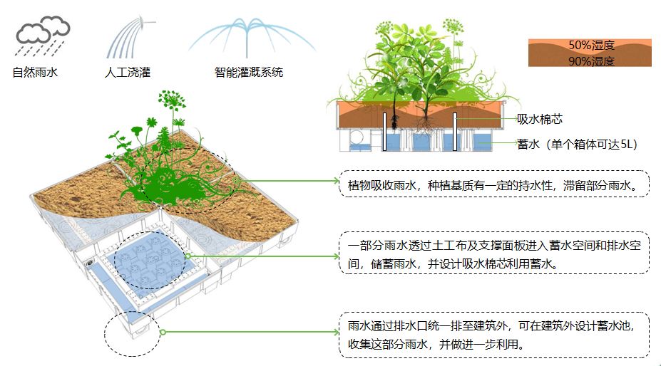 屋頂綠化,如何跨越技術門檻與產品限制?_城市