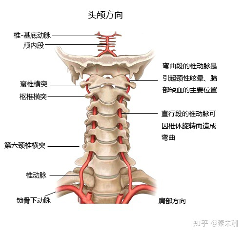 康睿仕受国通大厦特邀开展健康讲座肩颈和腰部劳损不可忽视