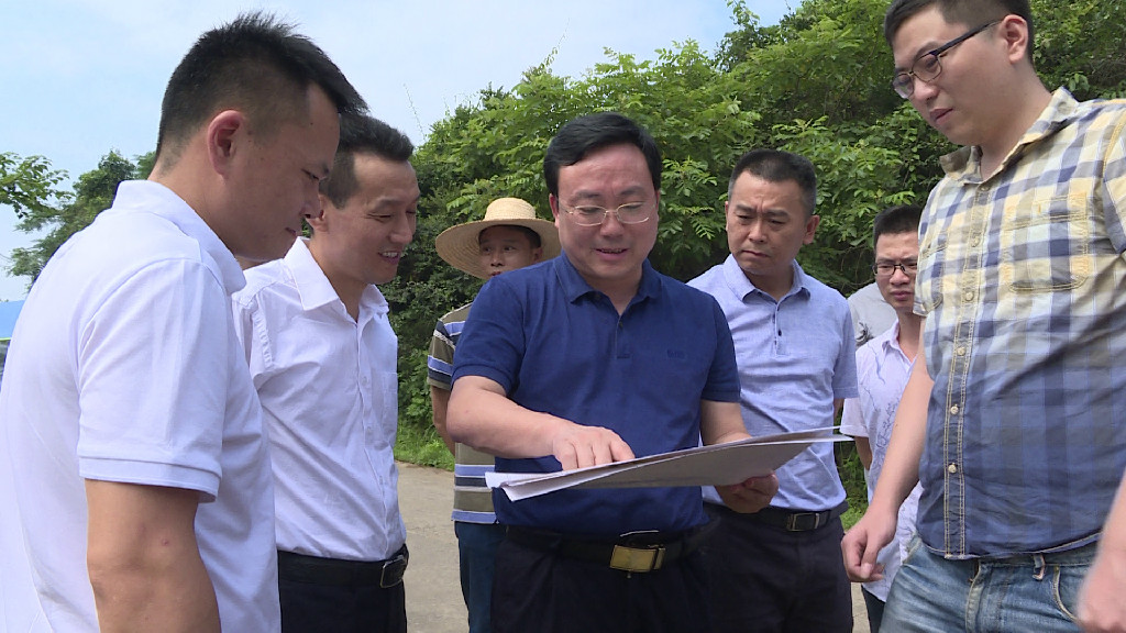 罗绍昀到龙船镇调研华新株洲新材料产业园项目建设工作