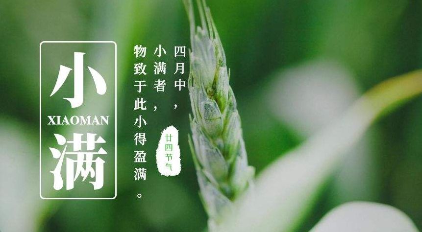 月满则亏水满则溢人生最好的状态是小满你同意这个观点么