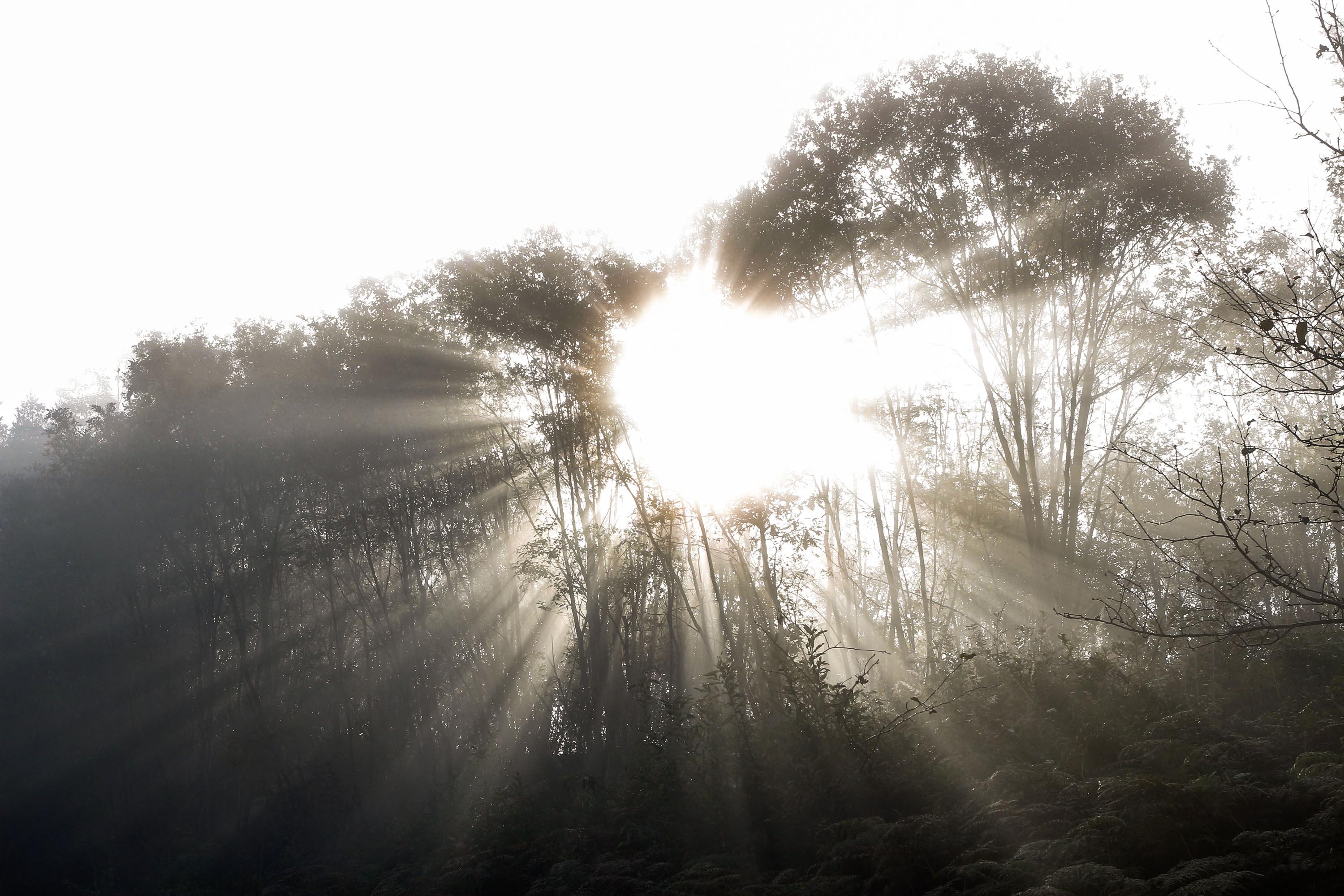 一雾一朦胧云雾缭绕的安康伏羲山光影分享一组马湾村的晨光美景美图