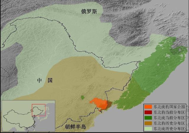 东北虎分布地区图片