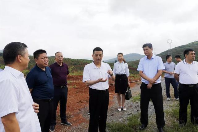 张爱国调研我县土地"三项攻坚"工作