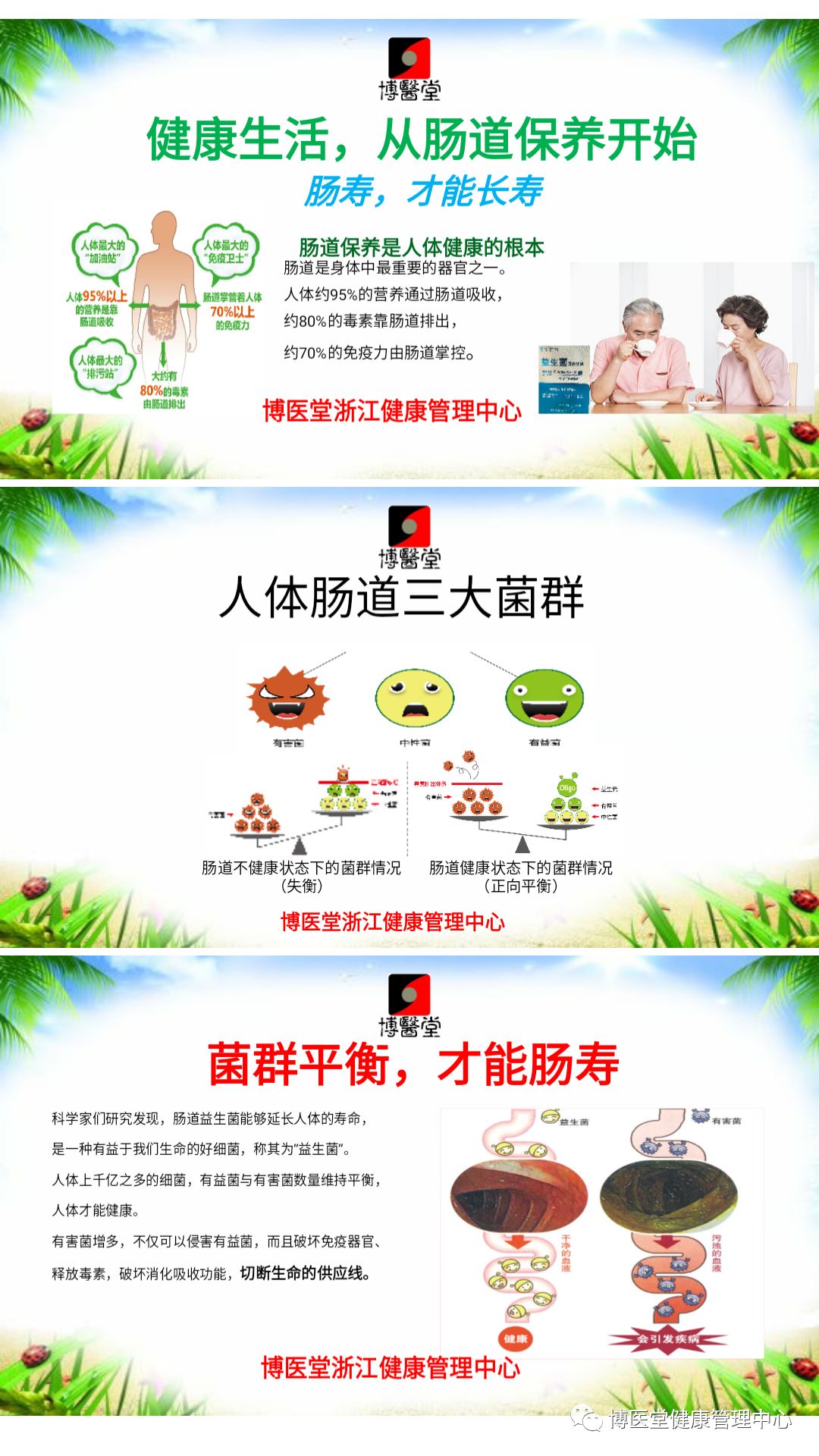 益生菌你肠道的守护神