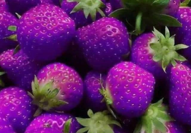 颜色奇葩的水果:躲过黄西瓜,逃过紫草莓,看到榴莲时:这能吃?