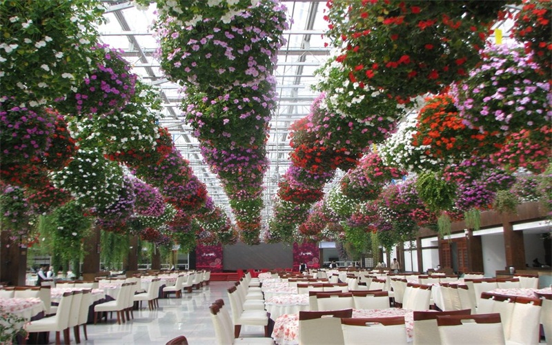 常州花鸟园酒店婚宴