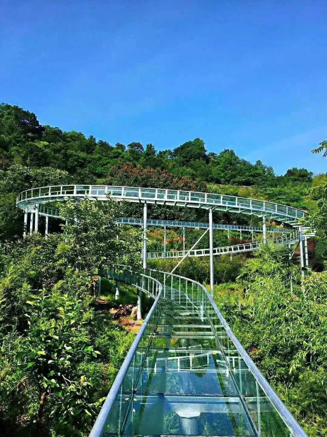 玻璃滑道 网红摇摆桥 阶梯瀑布,还私藏了片向日葵花海,一起来玩耍吧