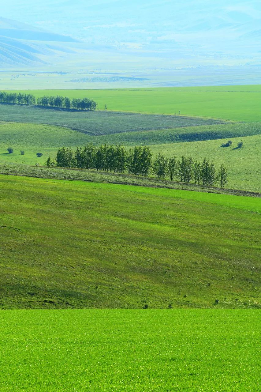 中俄边境公路旅行广阔草原这个夏天跟同道一起看星星